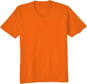 Men's Basic V Neck T-Shirt, T-Shirt, Menswear, Multi-Color, PL2101